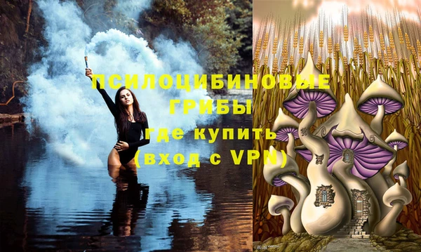 трава Каменногорск